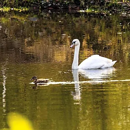 Waldschloesschen Brotterode
